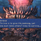 Image for article titled Final Fantasy IX Retrospective: The Final Fantasy's Final Fantasy
